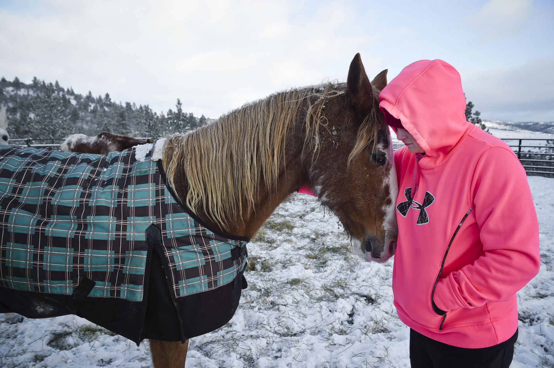 Sherron Davis nuzzles one of the ten horses she recently rescued